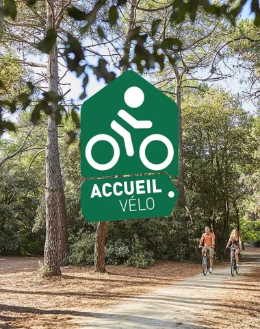 Accueil Vélo-Logo auf einem Waldbild in der Region Pays de Saint Jean de Monts