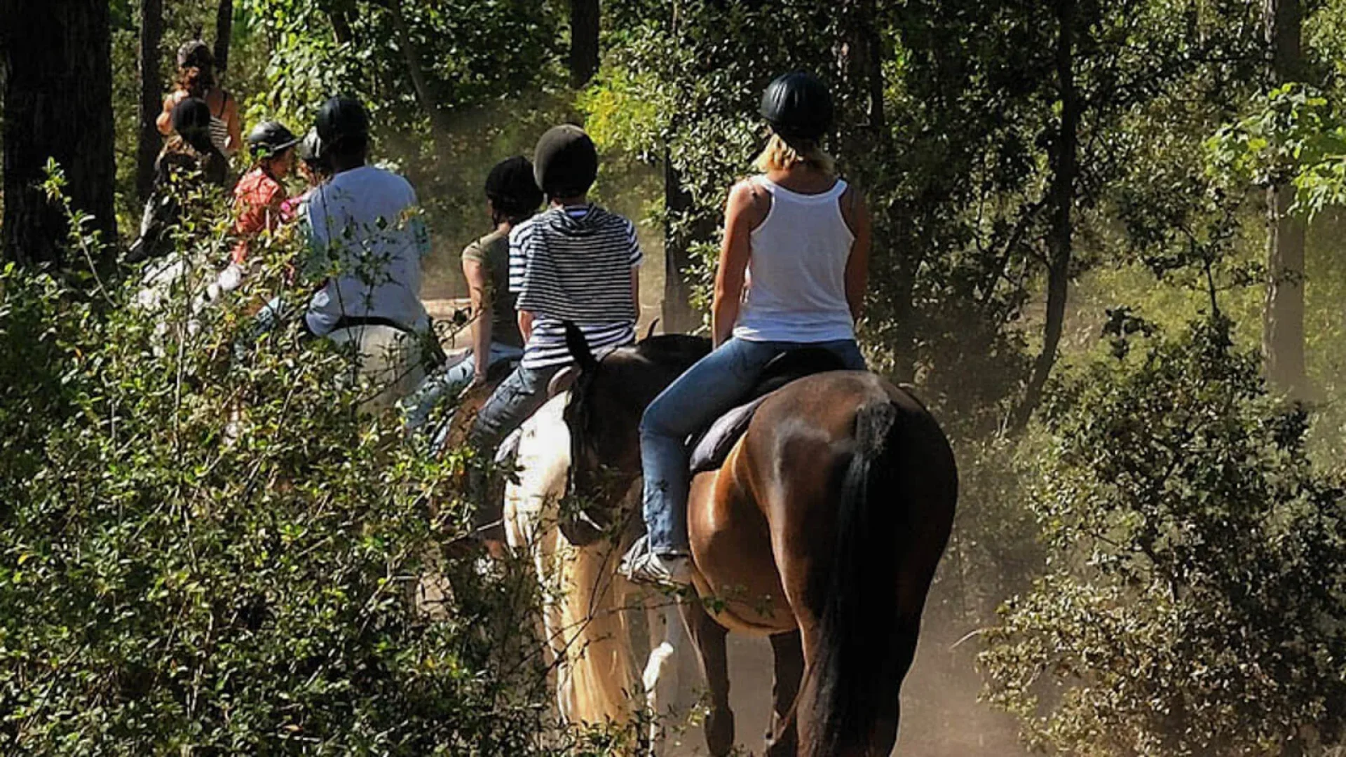 Reiten im Wald