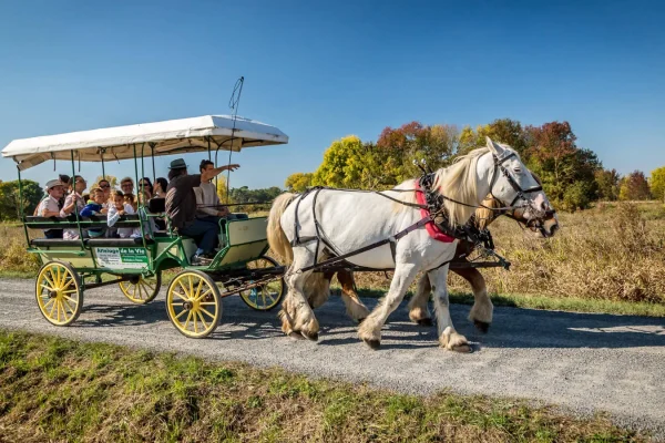 Kutschfahrten mit Déambul im Pays de Saint Jean de Monts